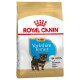 Royal Canin Yorkshire Puppy