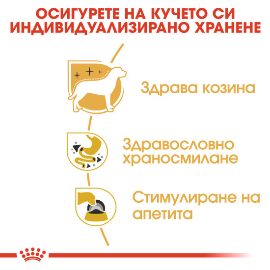 ROYAL CANIN - CHIHUAHUA Adult Pouch, 85гр