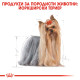 ROYAL CANIN - YORKSHIRE TERRIER Pouch Adult, 85гр ROYAL CANIN - YORKSHIRE TERRIER Pouch Adult, 85гр