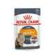 Royal Canin пауч за котки Intense Beauty 85 гр Royal Canin пауч за котки Intense Beauty 85 гр
