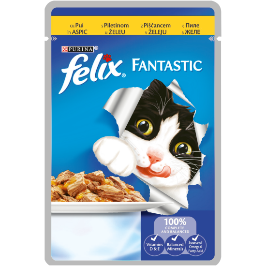 FELIX Fantastic пауч различни вкусове в желе 100гр. FELIX Fantastic пауч различни вкусове в желе 100гр.
