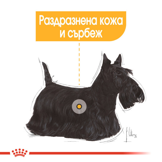 ROYAL CANIN - MINI DERMACOMFORT, пакет ROYAL CANIN - MINI DERMACOMFORT, пакет