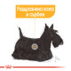 ROYAL CANIN - MINI DERMACOMFORT, пакет ROYAL CANIN - MINI DERMACOMFORT, пакет