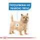 ROYAL CANIN - MINI LIGHT weight care, пакет 