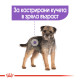 ROYAL CANIN - MINI STERILISED, пакет ROYAL CANIN - MINI STERILISED, пакет