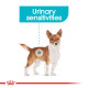 ROYAL CANIN - MINI URINARY, пакет ROYAL CANIN - MINI URINARY, пакет