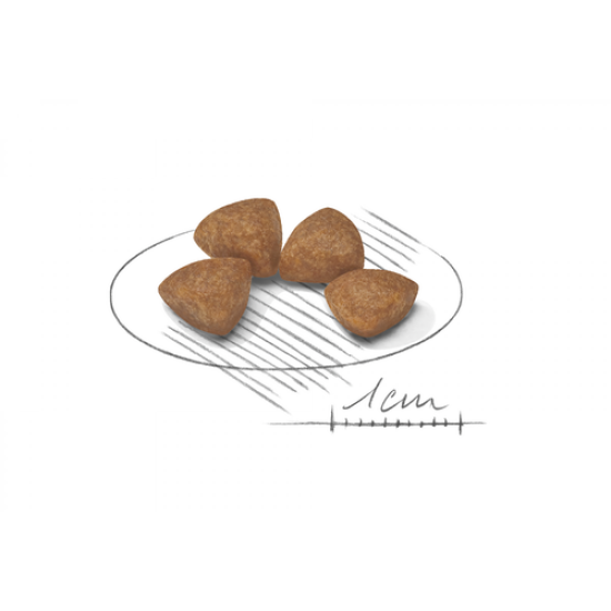 Royal Canin XSMALL Puppy Royal Canin XSMALL Puppy