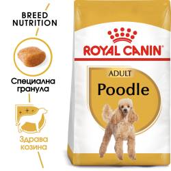 ROYAL CANIN POODLE ADULT Пълноценна суха храна за пудели в зряла възраст над 10 мес.-1.5 кг. ROYAL CANIN POODLE ADULT Пълноценна суха храна за пудели в зряла възраст над 10 мес.-1.5 кг.