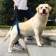 Нагръдник за подпомагане на кучета, минаващ през таза Нагръдник за подпомагане на кучета, минаващ през таза