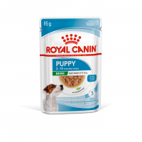 ROYAL CANIN MINI PUPPY пауч за подрастващи кучета от мини породи 85 гр.