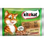 Kitekat пауч за котка различни вкусове 4*100 гр