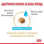 Royal Canin Yorkshire Terrier 8+-Пълноценна храна за кучета порода Йоркширски териер на възраст над 8 години