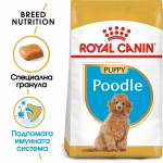 Royal Canin Poodle Puppy - храна за подрастващи кучета порода пудел - до 10 месеца 0.5kg