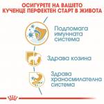 Royal Canin Poodle Puppy - храна за подрастващи кучета порода пудел - до 10 месеца 0.5kg