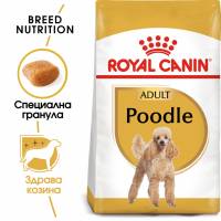 ROYAL CANIN POODLE ADULT Пълноценна суха храна за пудели в зряла възраст над 10 мес.-1.5 кг.