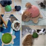 Драскало за котка КОСТЕНУРКА