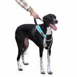 Светлоотразителен нагръдник за куче с ръкохватка NUNBELL 